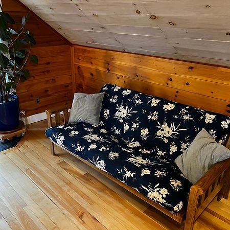 Bright And Cozy Treehouse Apartment Burlington Zewnętrze zdjęcie