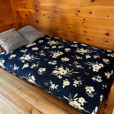 Bright And Cozy Treehouse Apartment Burlington Zewnętrze zdjęcie